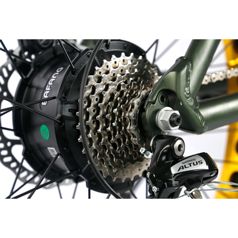 High Quality Vintage Retro Ebike Fat Tire 750W 1000Watt Cruiser Bike Electric Bicycle(Old) With Hydraulic Disk Brakes