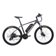 Factory Direct Cheap Aluminium Alloy Electric Bicycle 24 Speed 48V 250W Hub Motor Electric Moutain Bike E Bike MTB  For Sales