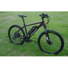 Factory Direct Cheap Aluminium Alloy Electric Bicycle 24 Speed 48V 250W Hub Motor Electric Moutain Bike E Bike MTB  For Sales