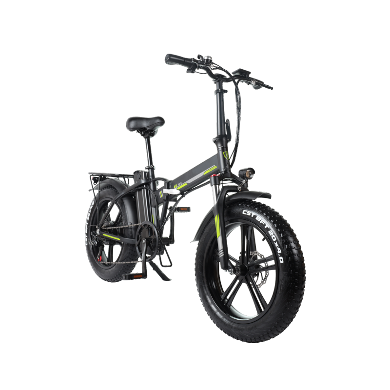 2021 New Arrival Mag Wheel 500W 750W Fat Tyre 20