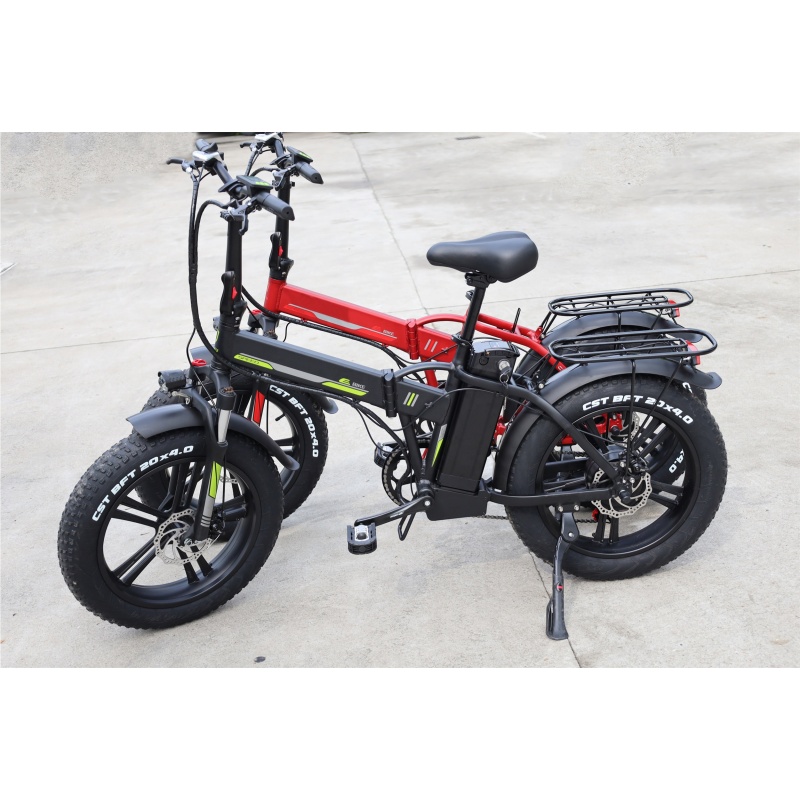 2021 New Arrival Mag Wheel 500W 750W Fat Tyre 20