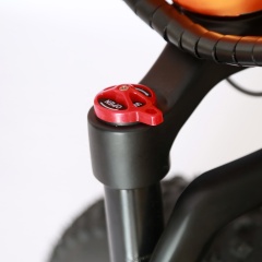 Exclusive Patent 48V 500W Magnesium Alloy Full Suspension Fat Tire Full Electric Bike Integrated Molding Frame Folding Bike