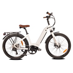 Removable Hidden Battery Womens Ebike 48V 500W High Power Bafang Motor Bike The Best Ladies Electric Bike For Sale
