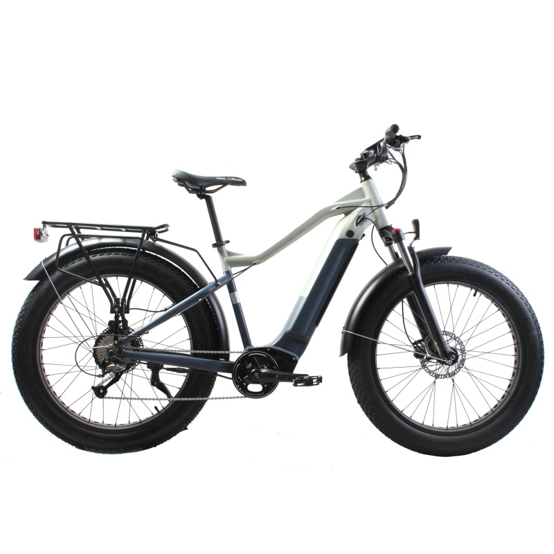 Amazon Hot Selling 750W 1000W Motor E-Bike Fat Tire Mountain Bike Fatbike Electric Bicycle Enduro Ebike Hunting Bikes