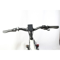 Amazon Hot Selling 750W 1000W Motor E-Bike Fat Tire Mountain Bike Fatbike Electric Bicycle Enduro Ebike Hunting Bikes