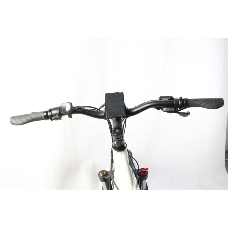 Amazon Hot Selling 750W 1000W Motor E-Bike Fat Tire Mountain Bike Fatbike Electric Bicycle Enduro Ebike Hunting Bikes