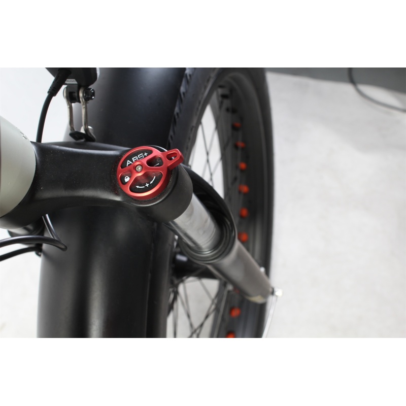 Amazon Hot Selling 750W 1000W Motor E-Bike Fat Tire Mountain Bike Fatbike Electric Bicycle Enduro Ebike Hunting Bikes