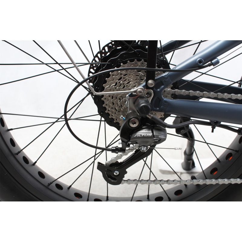 Amazon Hot Selling 750W 1000W Motor E-Bike Fat Tire Mountain Bike Fatbike Electric Bicycle Enduro Ebike Hunting Bikes