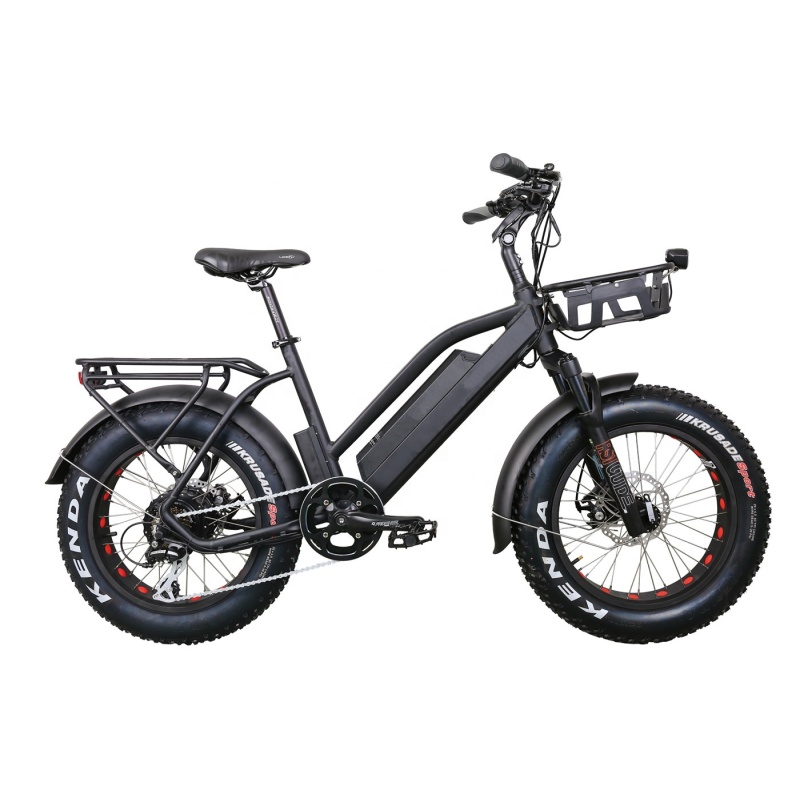 New Family 20Inches Electric Super Bike 48V 500W Elektrik Bike FatTire City Elektric Bike