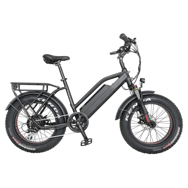 New Family 20Inches Electric Super Bike 48V 500W Elektrik Bike FatTire City Elektric Bike