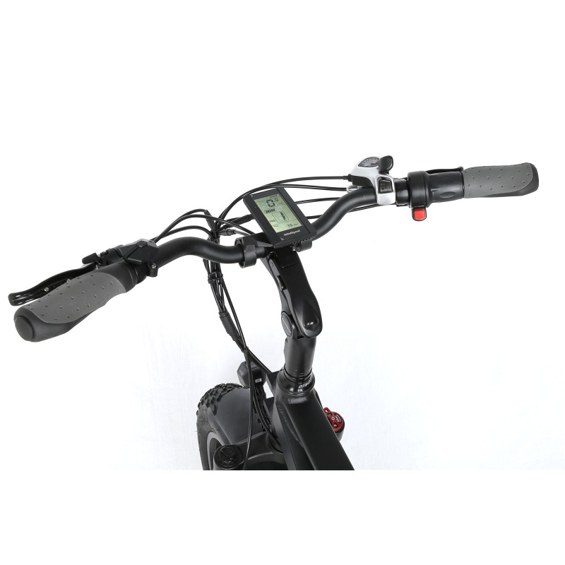 New Family 20Inches Electric Super Bike 48V 500W Elektrik Bike FatTire City Elektric Bike