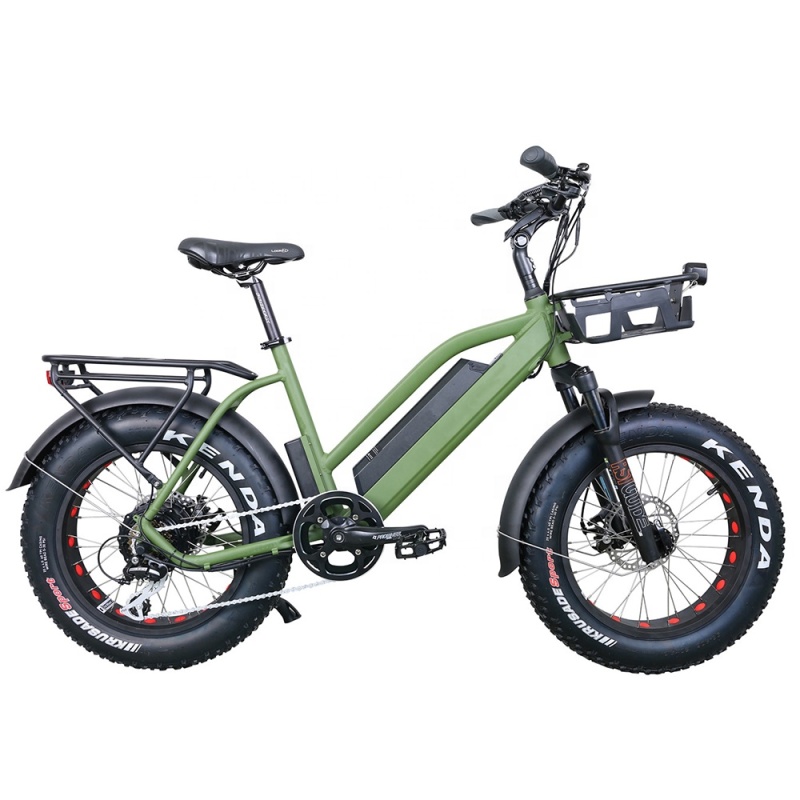 New Family 20Inches Electric Super Bike 48V 500W Elektrik Bike FatTire City Elektric Bike