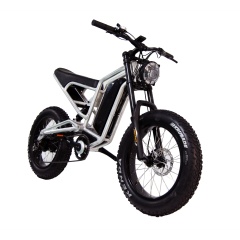 New Design 60V 1000W Electric Dirt Bike Fat Tire Moped Bike Peak 1500W Utility Bike Electric Racing Bicycle X20