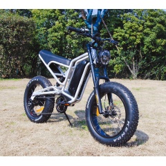 New Design 60V 1000W Electric Dirt Bike Fat Tire Moped Bike Peak 1500W Utility Bike Electric Racing Bicycle X20