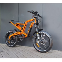 New Design 60V 1000W Electric Dirt Bike Fat Tire Moped Bike Peak 1500W Utility Bike Electric Racing Bicycle X20