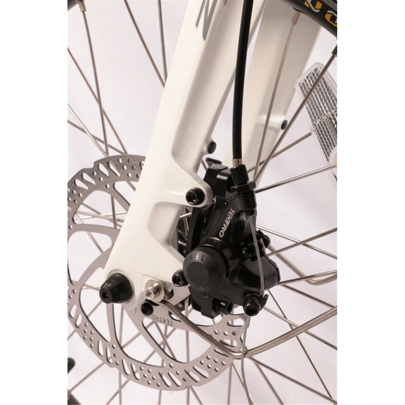 Brand New Folding Electric Bike 350W 48V Japanese Electric Bike Push Bike Bicycle With Integrated Battery