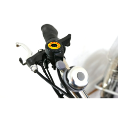 36V 250W 350W electric tricycle adults 3 wheel electric drift trike tricycle electric with tilting feature