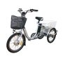 36V 250W 350W electric tricycle adults 3 wheel electric drift trike tricycle electric with tilting feature