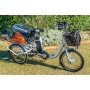36V 250W 350W electric tricycle adults 3 wheel electric drift trike tricycle electric with tilting feature