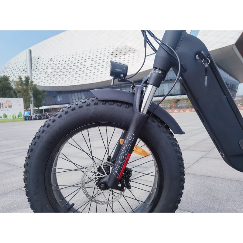 Max Speed 750W Foldable Long Range Powerful Moter Electric Bike With 20x4.0 Fat Tire Ebike Hydraulic Disk Brakes