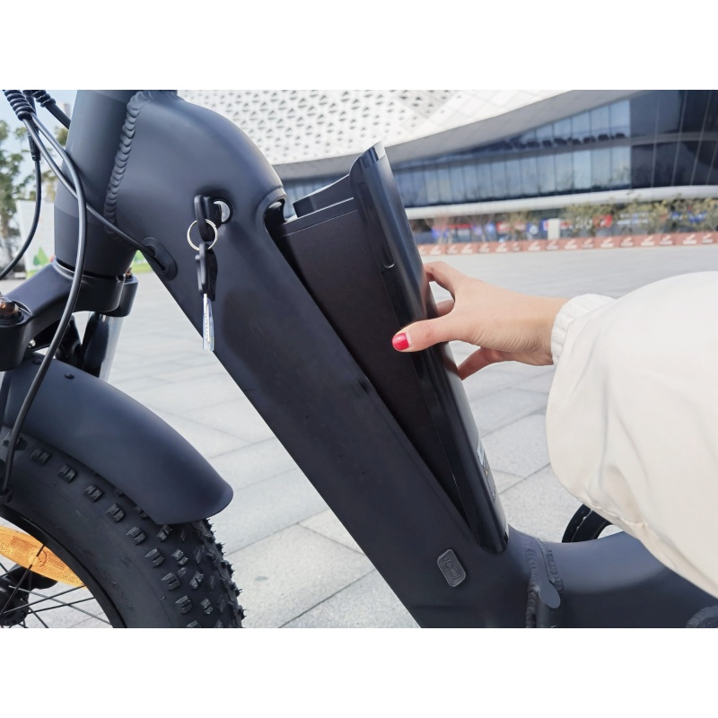 Max Speed 750W Foldable Long Range Powerful Moter Electric Bike With 20x4.0 Fat Tire Ebike Hydraulic Disk Brakes