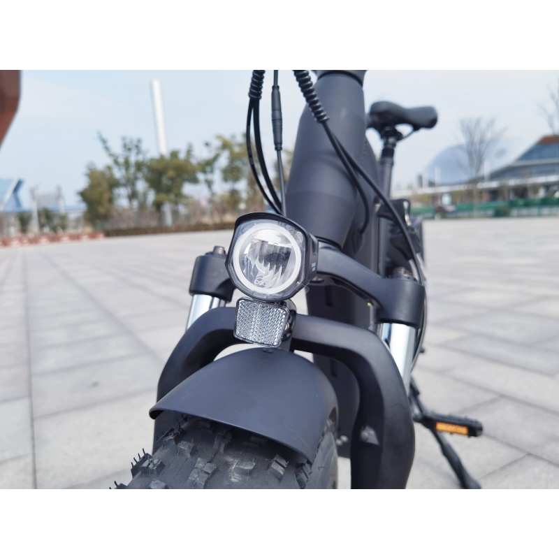 Max Speed 750W Foldable Long Range Powerful Moter Electric Bike With 20x4.0 Fat Tire Ebike Hydraulic Disk Brakes