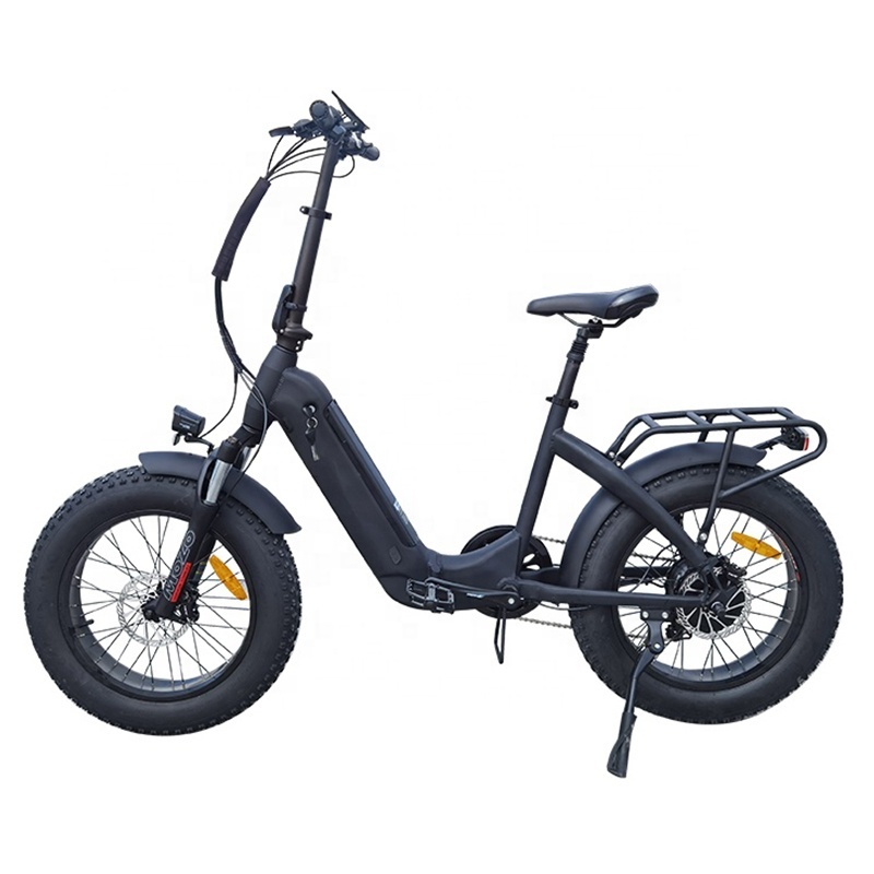 Max Speed 750W Foldable Long Range Powerful Moter Electric Bike With 20x4.0 Fat Tire Ebike Hydraulic Disk Brakes