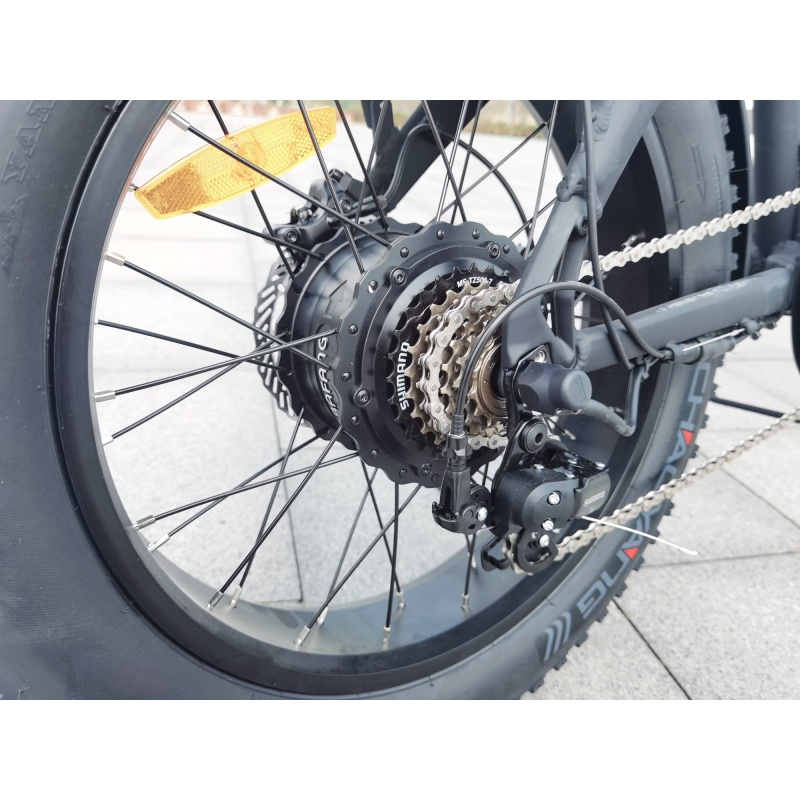 Max Speed 750W Foldable Long Range Powerful Moter Electric Bike With 20x4.0 Fat Tire Ebike Hydraulic Disk Brakes