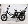 Wholesaler Long Range Fat Tire 500W 750W 48V Dual Battery Electric Bike Heavy Duty Delivery Bike E Bicycle With Baby Seat
