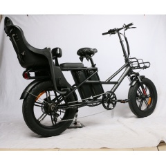 Wholesaler Long Range Fat Tire 500W 750W 48V Dual Battery Electric Bike Heavy Duty Delivery Bike E Bicycle With Baby Seat