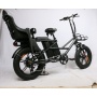 Wholesaler Long Range Fat Tire 500W 750W 48V Dual Battery Electric Bike Heavy Duty Delivery Bike E Bicycle With Baby Seat