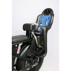 Wholesaler Long Range Fat Tire 500W 750W 48V Dual Battery Electric Bike Heavy Duty Delivery Bike E Bicycle With Baby Seat