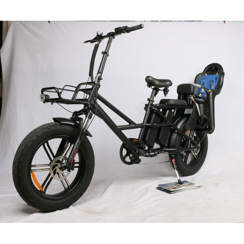 Wholesaler Long Range Fat Tire 500W 750W 48V Dual Battery Electric Bike Heavy Duty Delivery Bike E Bicycle With Baby Seat