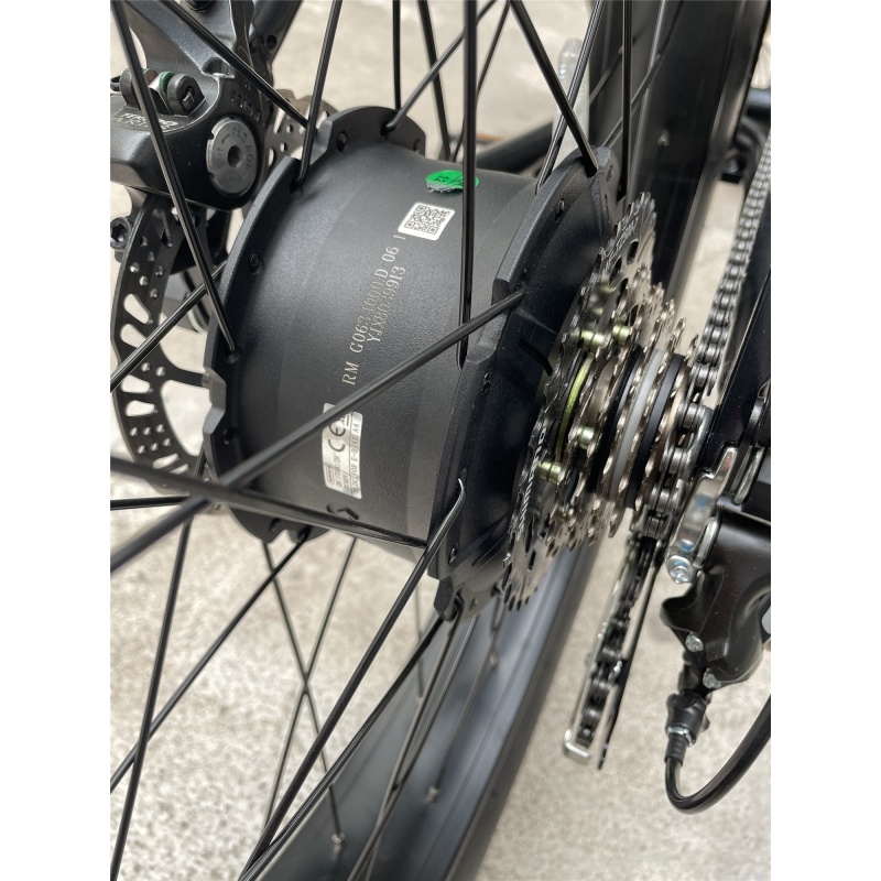 1000W Beach Cruiser Bicycle 26 Inch Retro Electric Heavy Bike Hybrid Bike Retro Ebike With 20Ah Hidden Battery