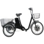 Cheap 250W Electric 3 Wheel Bike 36V Lithium Battery Tricycle E Tricycle Electric Adult Tricycle For Handicapped