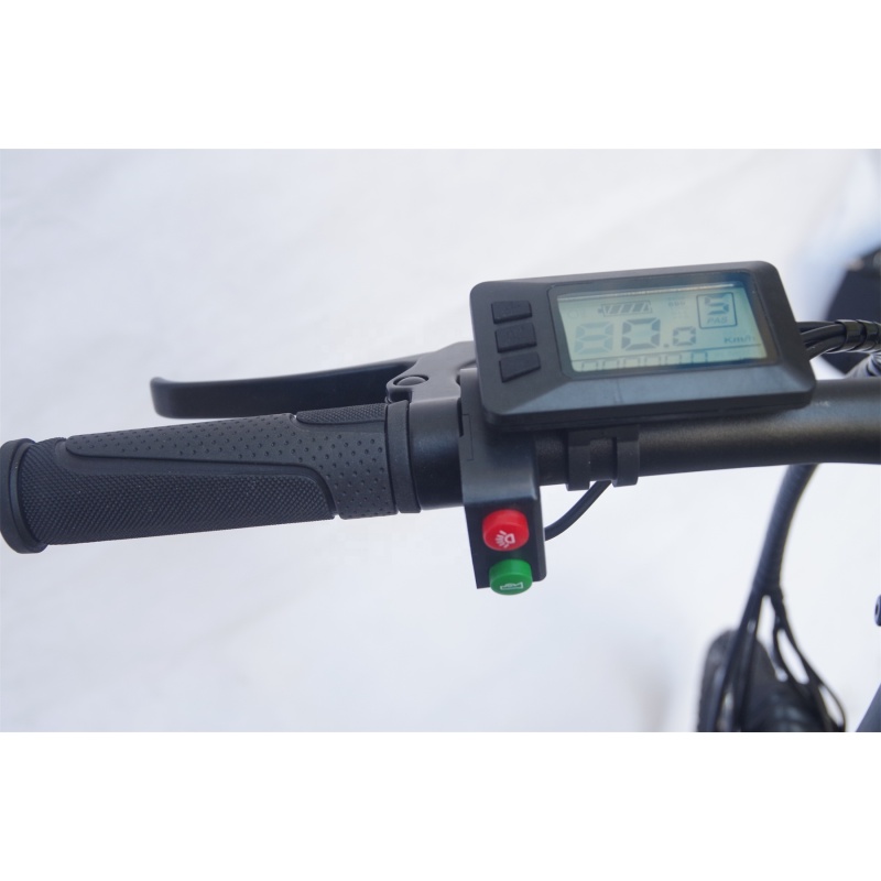 cheap electric folding bike 48V 250W 350W foldable electric bicycle 20 inch folding ebike electric cycle foldable wholesale