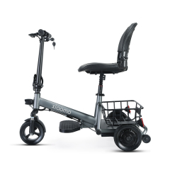 Small 3 Wheel Electric Scooter for Adults Fully Enclosed Folding Mobility Tricycle Light Weight 350W Motor 60KM Range per Charge