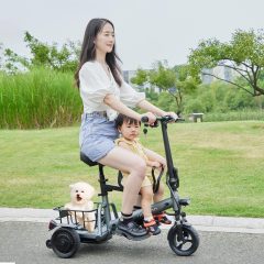 Small 3 Wheel Electric Scooter for Adults Fully Enclosed Folding Mobility Tricycle Light Weight 350W Motor 60KM Range per Charge