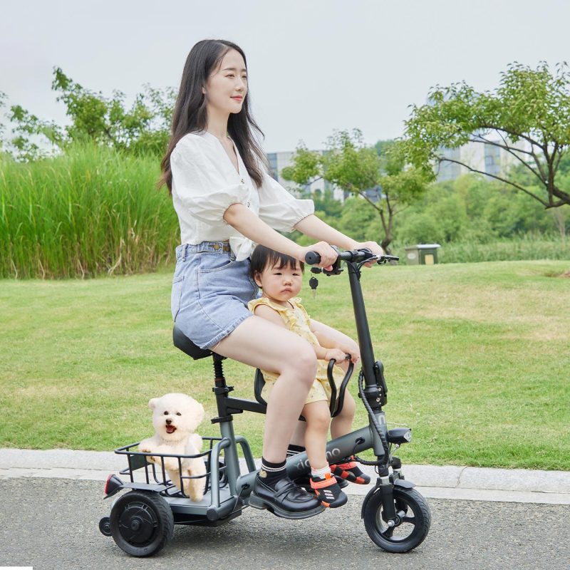 Small 3 Wheel Electric Scooter for Adults Fully Enclosed Folding Mobility Tricycle Light Weight 350W Motor 60KM Range per Charge