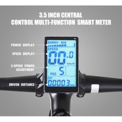 Versandfertig 21-Gang-Elektrofahrrad 1000 W Elektro-Mountainbike-Fahrrad mit 48 V 17 Ah Lithium-Batterie