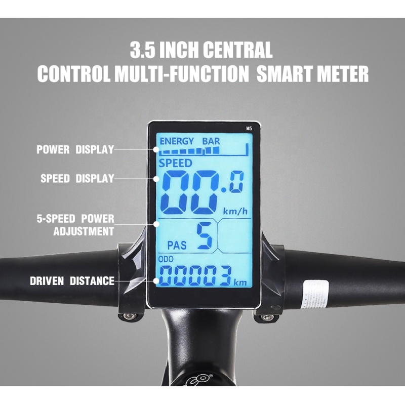 Ready to Ship 21 Speed Electric Bike 1000W Electric Mountain Bike Bicycle With 48V 17Ah Lithium Battery