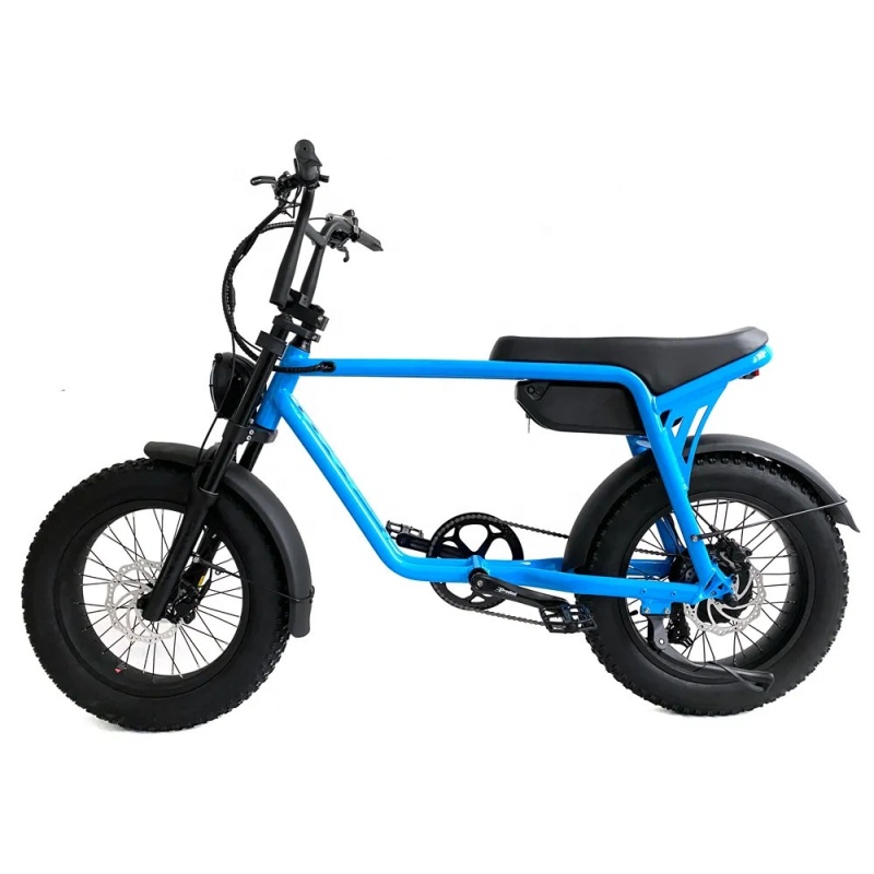 Super Bright Blue 500W 750W Fat Tire Electric Bike 20X4.0 Unfoldable Fat E Bike Motorcycle Fast Than 73