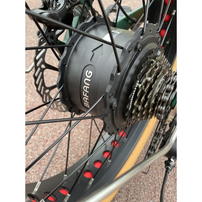 48V 750W Foldable Step Through Electric Fat Tire Bike High Quality Electric Hybrid Bike Retro Ebike With Hidden Battery