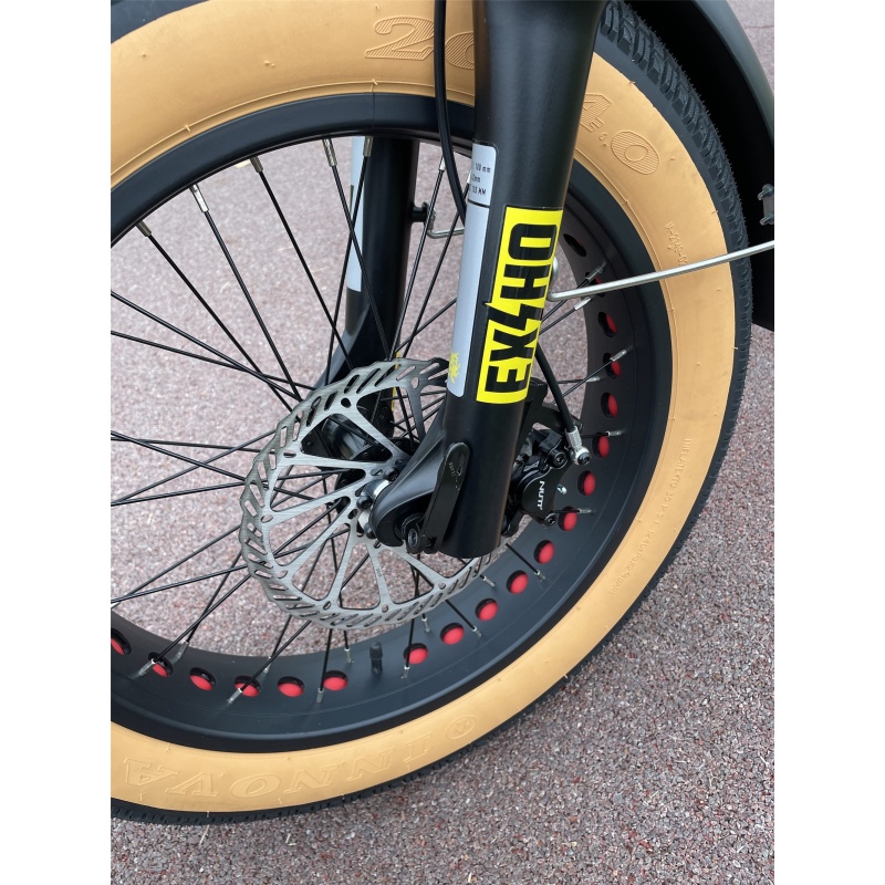 48V 750W Foldable Step Through Electric Fat Tire Bike High Quality Electric Hybrid Bike Retro Ebike With Hidden Battery