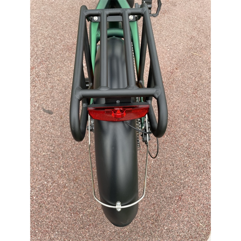 48V 750W Foldable Step Through Electric Fat Tire Bike High Quality Electric Hybrid Bike Retro Ebike With Hidden Battery
