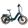 Moss Green