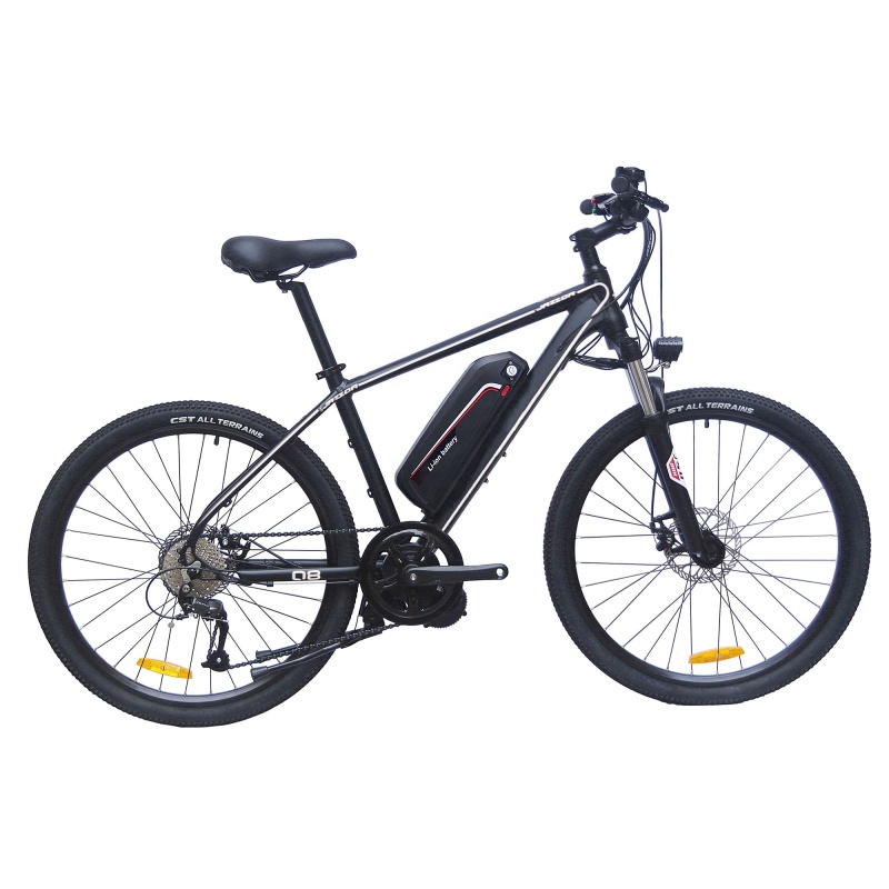 Ready To Ship 48V 350W Bafang Mid Drive Motor Electric Bicycle  9 Speed Gears E Bike MTB Electric Moutain Bike