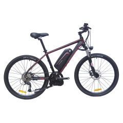Ready To Ship 48V 350W Bafang Mid Drive Motor Electric Bicycle  9 Speed Gears E Bike MTB Electric Moutain Bike