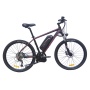 Ready To Ship 48V 350W Bafang Mid Drive Motor Electric Bicycle  9 Speed Gears E Bike MTB Electric Moutain Bike
