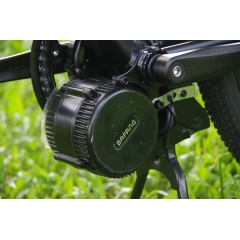 Ready To Ship 48V 350W Bafang Mid Drive Motor Electric Bicycle  9 Speed Gears E Bike MTB Electric Moutain Bike